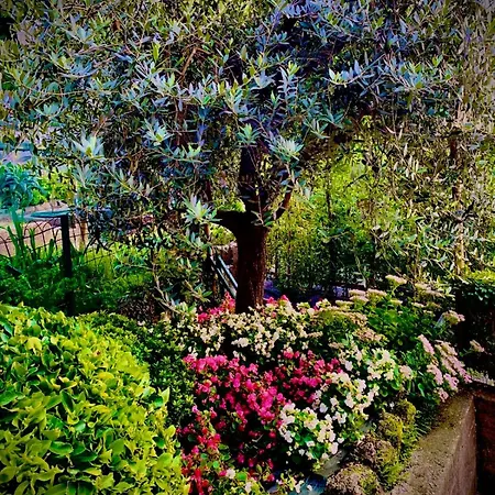 Pensjonat La Casa Sulla Roccia 3*